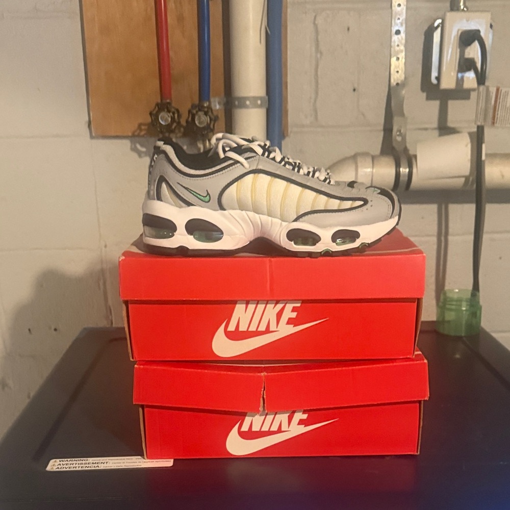 Nike Air Max Plus in White and Gray